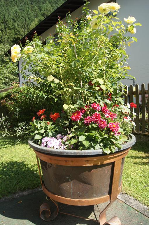 Haus Josef Bed & Breakfast Mayrhofen Ngoại thất bức ảnh